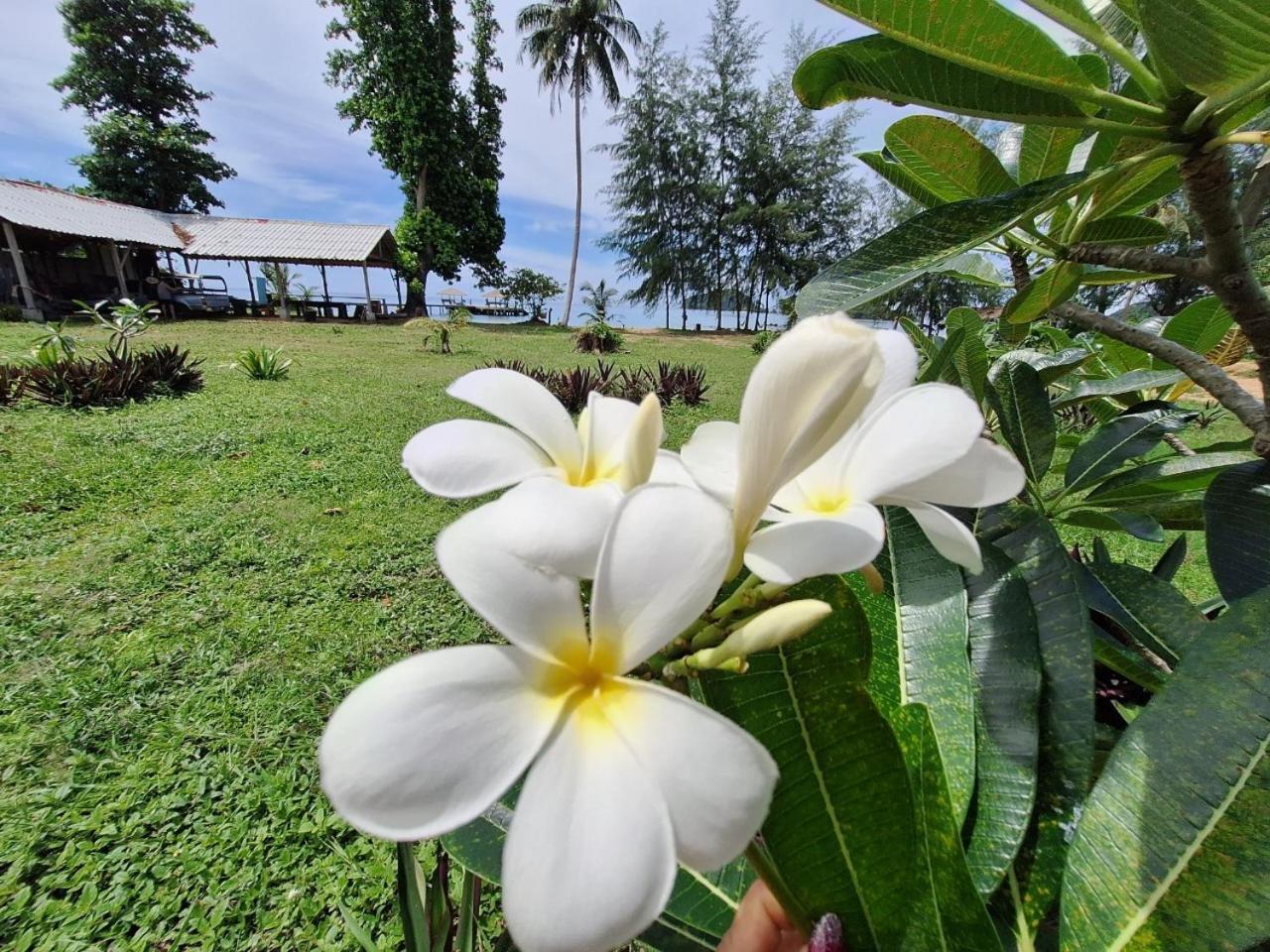 Miss You Beach Resort Koh Mak Extérieur photo